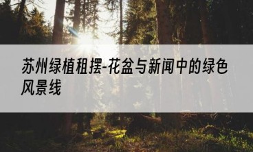 苏州绿植租摆-花盆与新闻中的绿色风景线