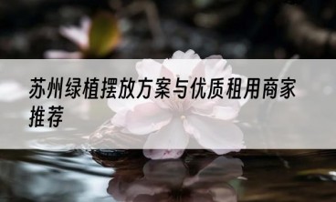 苏州绿植摆放方案与优质租用商家推荐