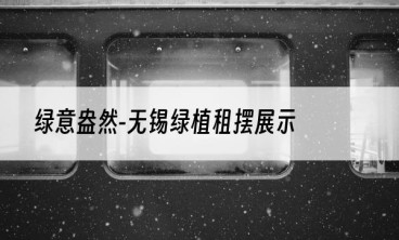 绿意盎然-无锡绿植租摆展示