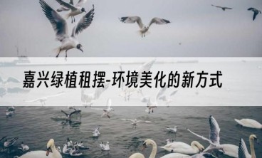 嘉兴绿植租摆-环境美化的新方式