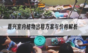 嘉兴室内植物出租方案与价格解析