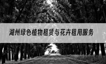 湖州绿色植物租赁与花卉租用服务