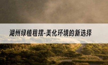 湖州绿植租摆-美化环境的新选择