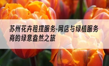 苏州花卉租摆服务-网店与绿植服务商的绿意盎然之旅