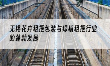 无锡花卉租摆包装与绿植租摆行业的蓬勃发展