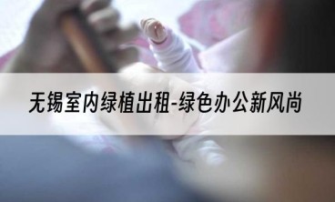 无锡室内绿植出租-绿色办公新风尚