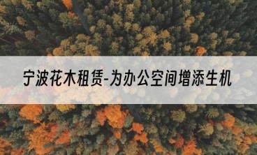 宁波花木租赁-为办公空间增添生机