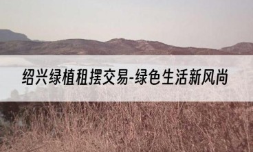 绍兴绿植租摆交易-绿色生活新风尚