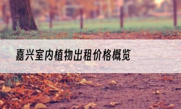 嘉兴室内植物出租价格概览