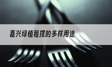 嘉兴绿植租摆的多样用途