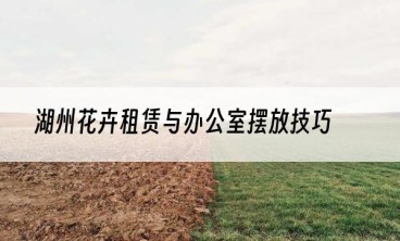 湖州花卉租赁与办公室摆放技巧