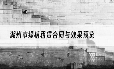 湖州市绿植租赁合同与效果预览