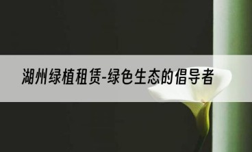 湖州绿植租赁-绿色生态的倡导者