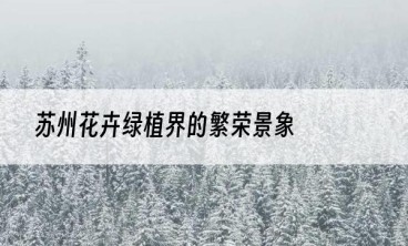 苏州花卉绿植界的繁荣景象