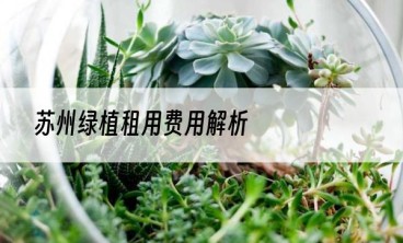苏州绿植租用费用解析
