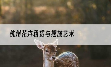 杭州花卉租赁与摆放艺术