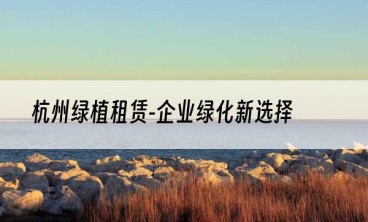 杭州绿植租赁-企业绿化新选择