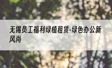 无锡员工福利绿植租赁-绿色办公新风尚