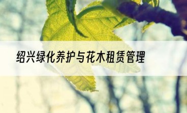 绍兴绿化养护与花木租赁管理