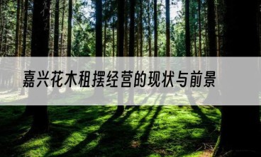 嘉兴花木租摆经营的现状与前景