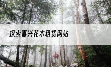 探索嘉兴花木租赁网站
