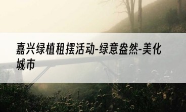 嘉兴绿植租摆活动-绿意盎然-美化城市
