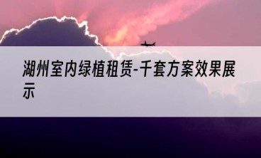 湖州室内绿植租赁-千套方案效果展示