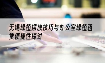 无锡绿植摆放技巧与办公室绿植租赁便捷性探讨