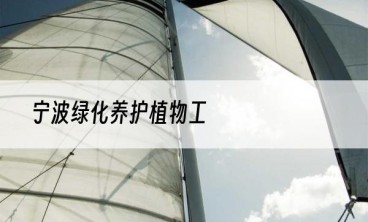 宁波绿化养护植物工