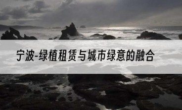 宁波-绿植租赁与城市绿意的融合