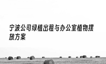 宁波公司绿植出租与办公室植物摆放方案