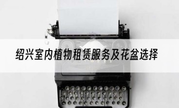 绍兴室内植物租赁服务及花盆选择