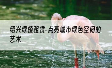 绍兴绿植租赁-点亮城市绿色空间的艺术