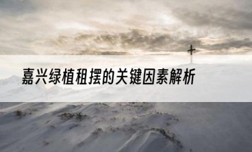 嘉兴绿植租摆的关键因素解析