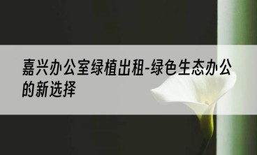 嘉兴办公室绿植出租-绿色生态办公的新选择