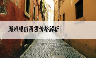 湖州绿植租赁价格解析