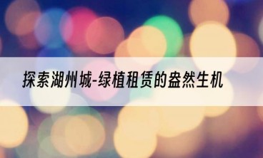 探索湖州城-绿植租赁的盎然生机