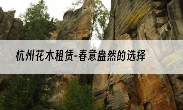 杭州花木租赁-春意盎然的选择