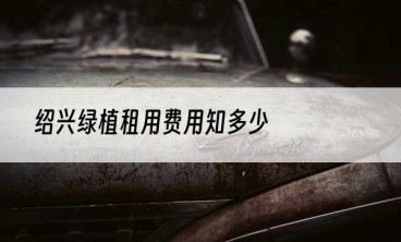 绍兴绿植租用费用知多少