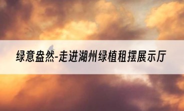 绿意盎然-走进湖州绿植租摆展示厅