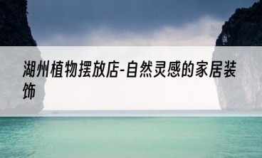 湖州植物摆放店-自然灵感的家居装饰