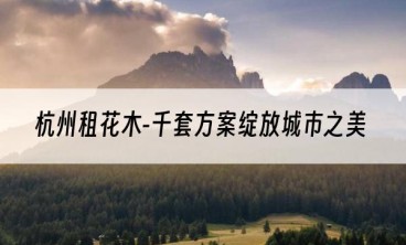 杭州租花木-千套方案绽放城市之美