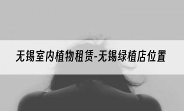 无锡室内植物租赁-无锡绿植店位置