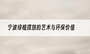 宁波绿植摆放的艺术与环保价值