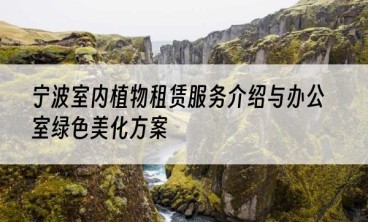宁波室内植物租赁服务介绍与办公室绿色美化方案