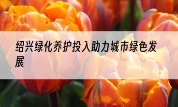 绍兴绿化养护投入助力城市绿色发展