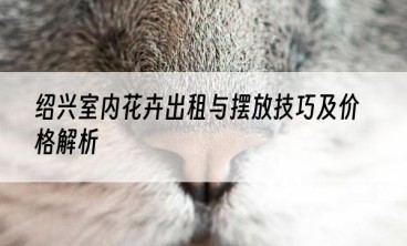 绍兴室内花卉出租与摆放技巧及价格解析