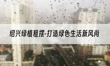 绍兴绿植租摆-打造绿色生活新风尚
