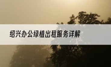 绍兴办公绿植出租服务详解