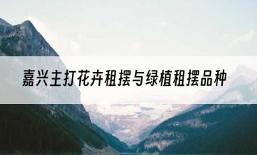 嘉兴主打花卉租摆与绿植租摆品种